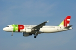 TAP - Air Portugal, Bild: Steffen Remmel