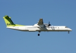 Flugzeugtyp: Q400, Fluggesellschaft: Air Baltic (BT/BTI), Kennzeichen: YL-BAE, Flughafen: Frankfurt am Main, Datum: 10.Oktober 2010, Bild: Steffen Remmel